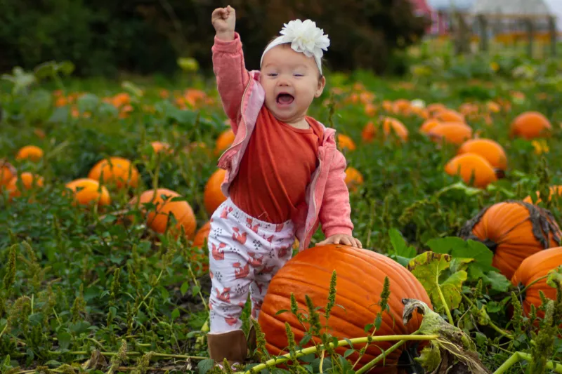21 Best Pumpkin Patches around Cincinnati and Dayton {2026}