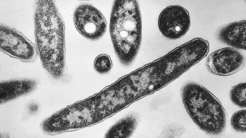 Health officials probe 8 Legionnaires' cases at Thornville nursing home