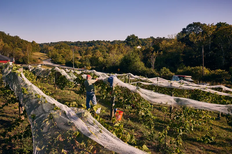 Cincinnati Wineries: Northern Kentucky