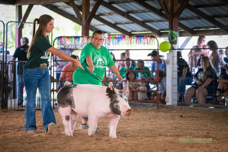 Inclusive livestock shows open door to more fair families