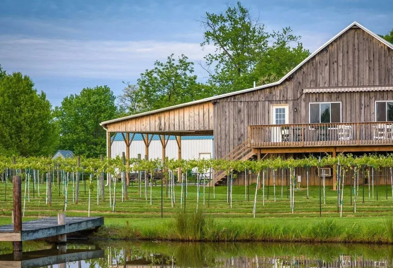 Cincinnati Wineries and Wine Shops: Indiana