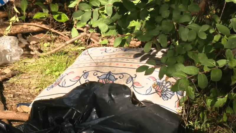 Steubenville homeless encampments rise as Community Action Agency expands aid