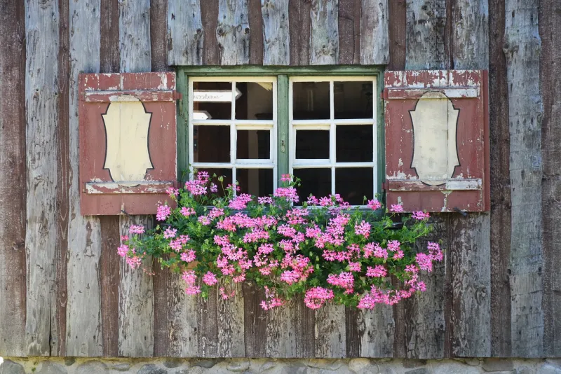 Neighbor talk: Why I adore the everyday drama of rural Facebook pages