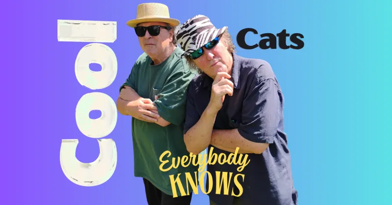 Cool Cats on Everybody Knows