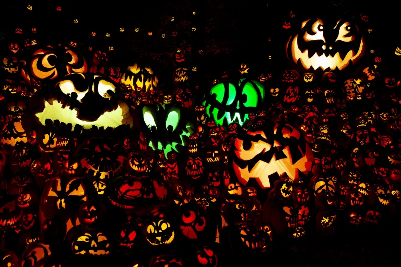 Plan Your Visit to the Jack's Lantern Trail