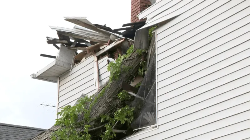 Massive tree crashes into Newark home during Monday storms