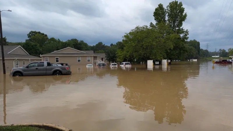 PHOTOS: Summer storms slam Central Ohio, leaving behind damage and flooding