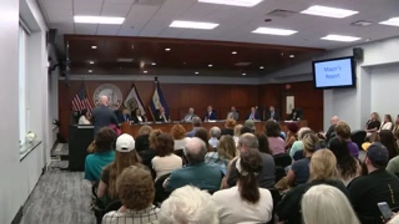 Silicon Foundation reps make case for data center at Wheeling council meeting