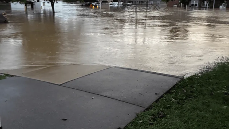 Roseville resident recounts flash flooding as creek overflow leaves neighborhood a mess