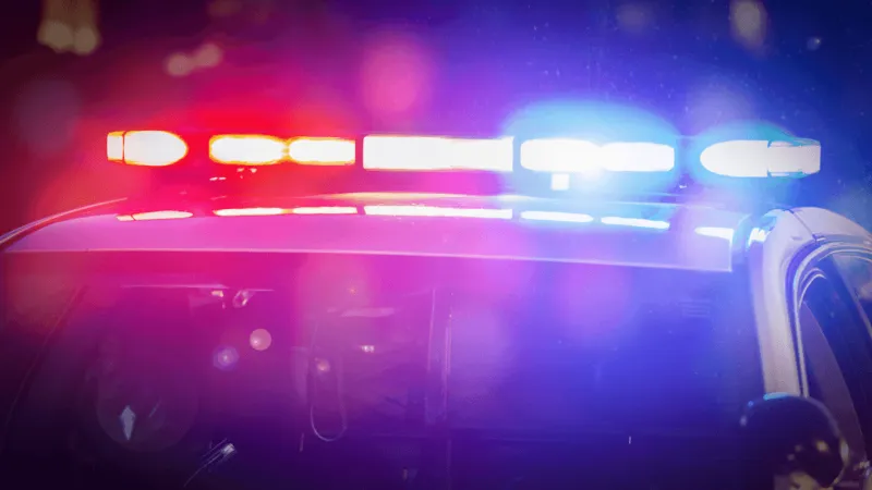 Hocking County SRT finds 44 firearms, suspected narcotics in search warrant raid