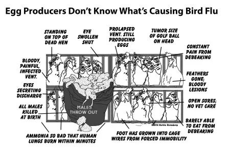 Beware These Dangerous Greed-Driven Health Revisionisms