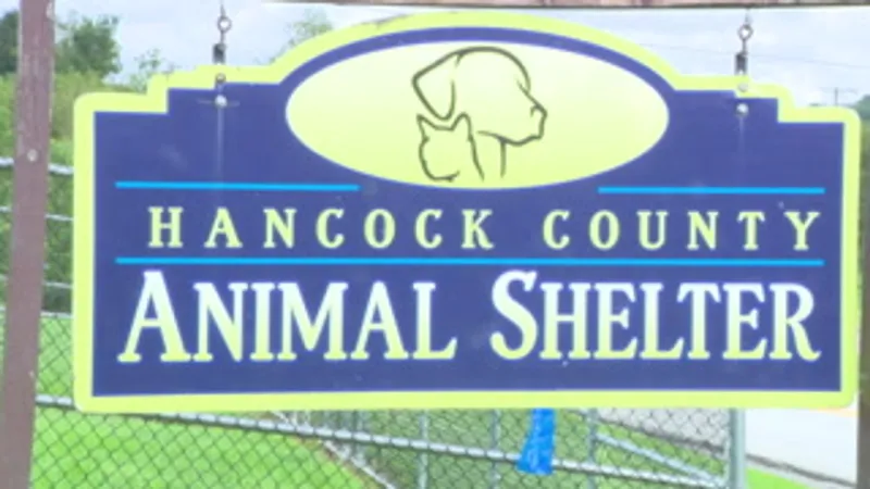 Hancock County shelter officials say animals euthanized due to medical, behavioral issues