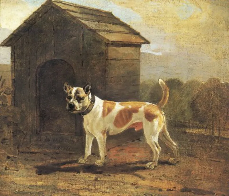 Once We Had a Dog... A Tale of Loyalty, Power, and the Price of Serving the Master