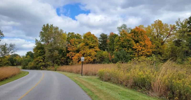 Sexual assault suspect dead after shooting at Sharon Woods Metro Park