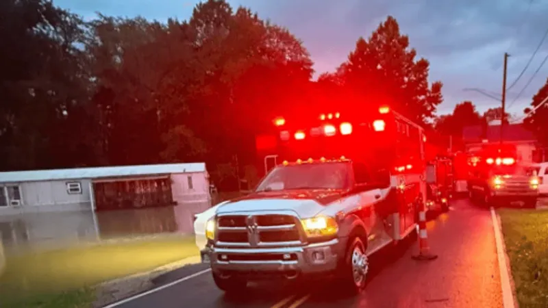 Man killed in New Lexington after falling tree strikes power lines and hits him