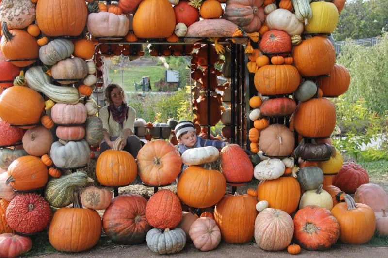Can't Miss Fall Events in Columbus
