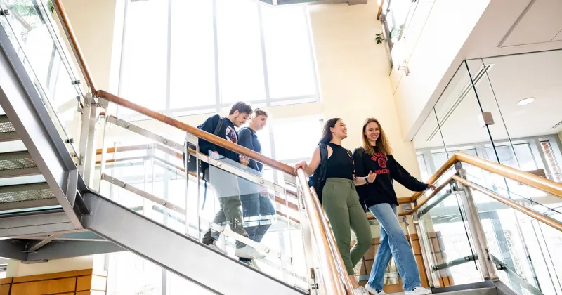 Six ways students can get the most out of college