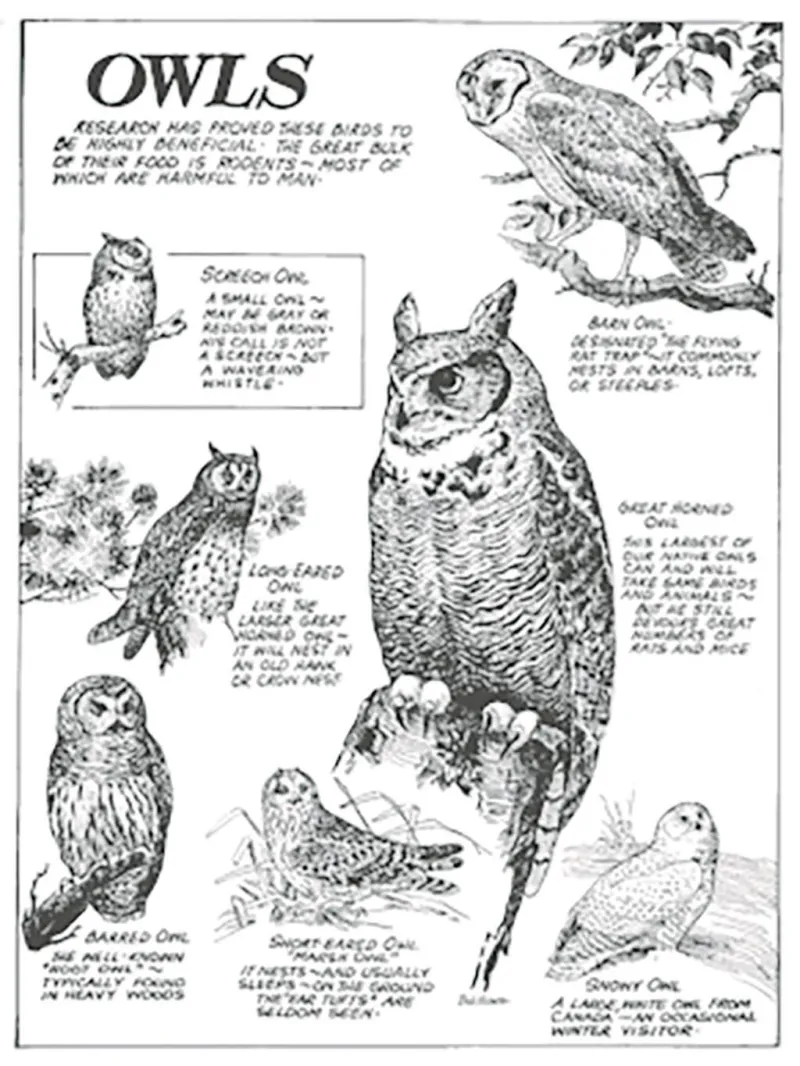 History of the Ohio Division of Wildlife: The birth of conservation