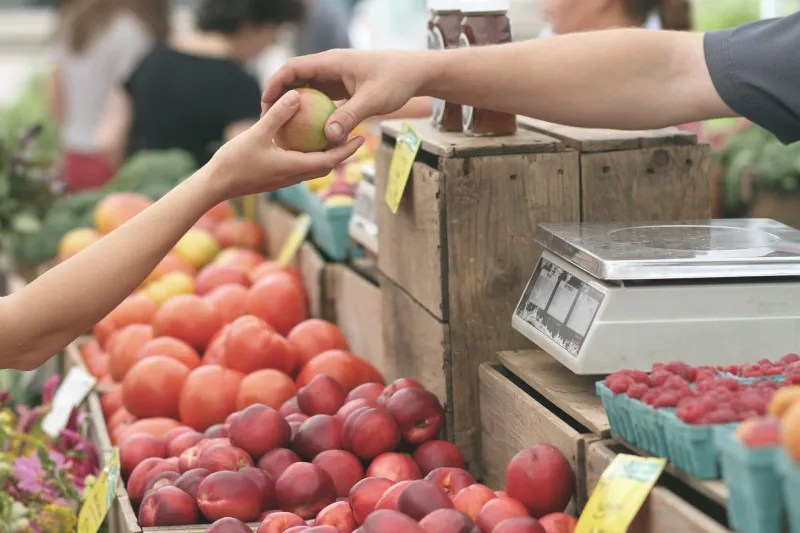 Environmental Commission to create local food grower directory