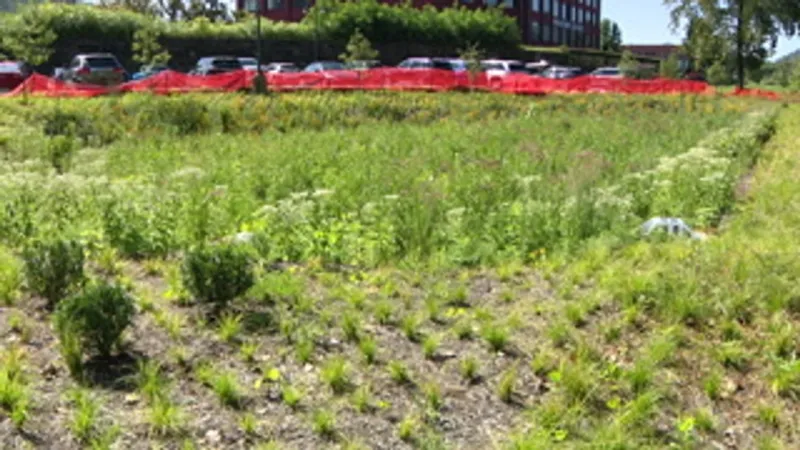 Robrecht Riverfront Park build in Wheeling draws questions as phase two begins