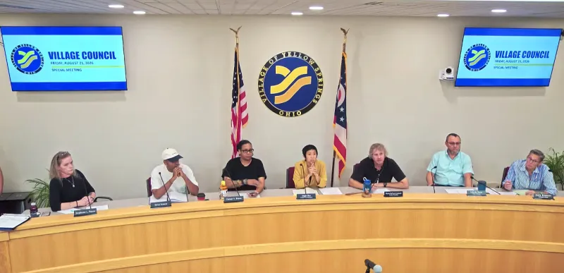 Clerk, Council members offer village manager updates