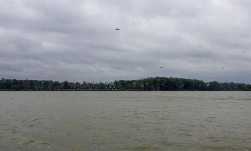 Advocates point to work in Maumee River as proof of what's possible