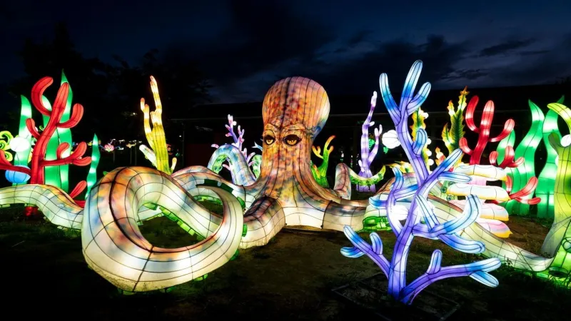 New dinosaur lanterns debut at Columbus Zoo Lantern Festival this fall
