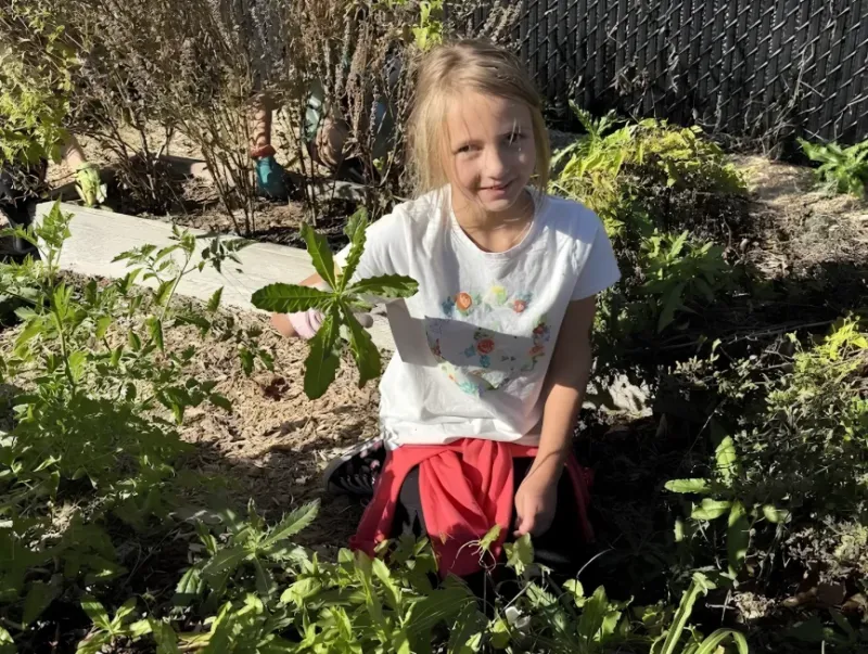 Grandview Heights Schools help pollinators and students thrive