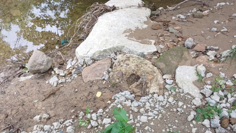 Neighbors express concern over concrete and materials dumped in a creek in Mansfield