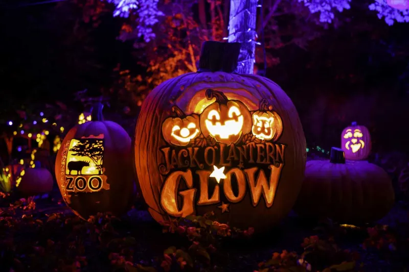 Cincinnati Zoo's Jack O'Lantern Glow (2026)