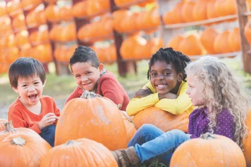 2026 Fall Fun Events in Northeast Ohio