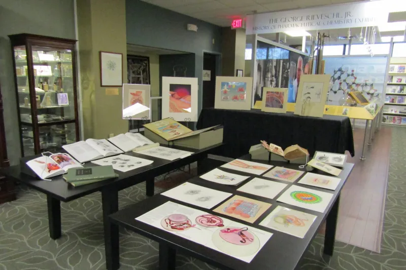 Hidden Gems: Lloyd Library & Museum