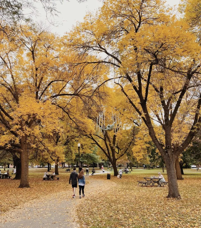 The Columbus Fall Edit: Where to Go, Things to Do & What Everyone is Talking About