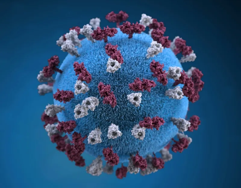 Measles outbreak hits Pennsylvania farming communities