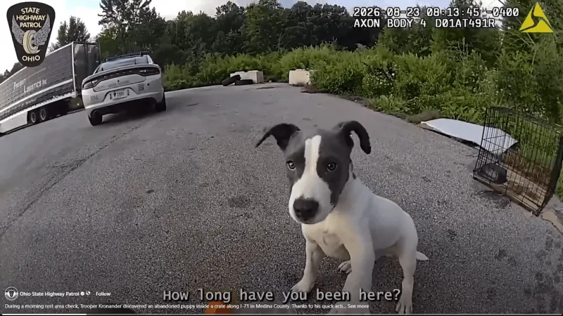 Ohio trooper finds abandoned puppy during rest stop check on I-71; dog up for adoption