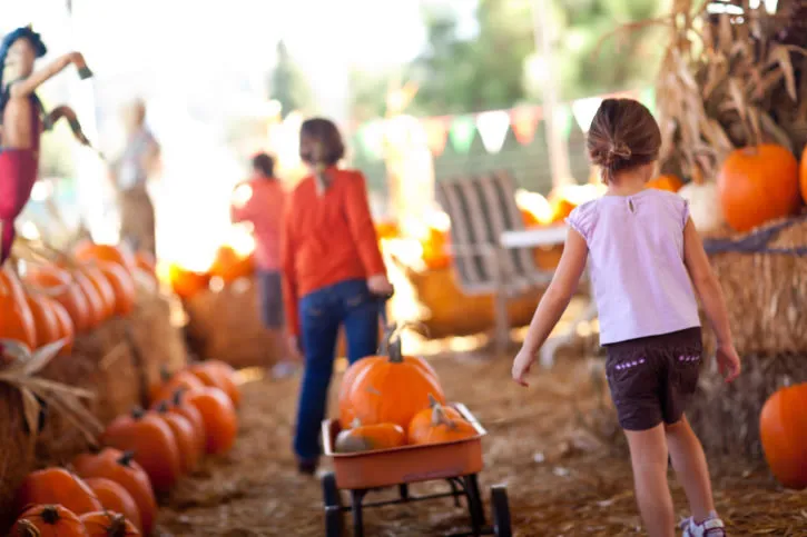 Best Pumpkin Patches in Cincinnati for 2026