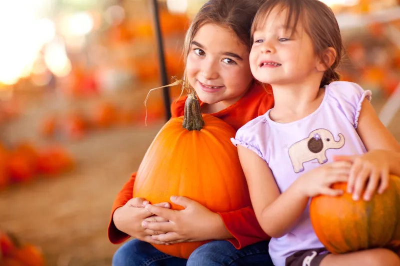 Best Pumpkin Patches in Dayton (2026 Guide)