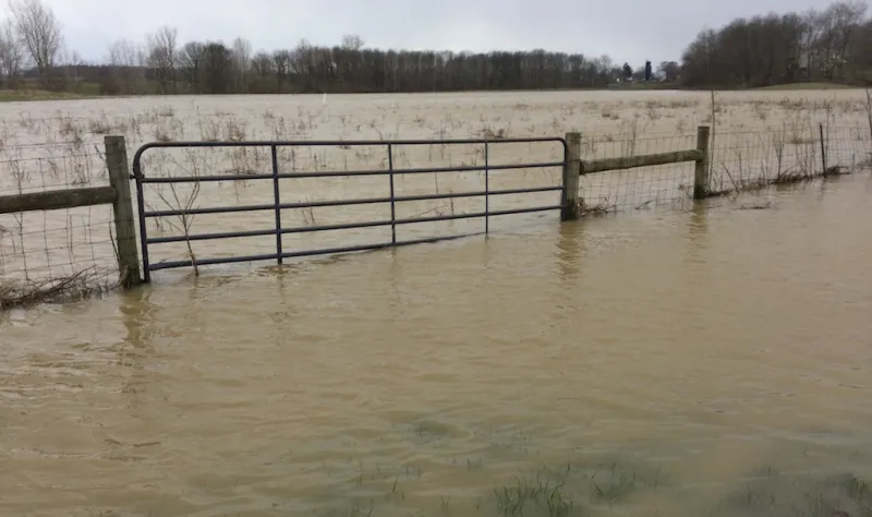 Pasture management after storms