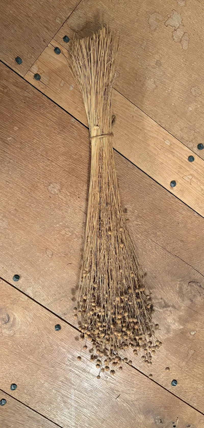How flax became the forgotten cash crop of 19th-century Ohio