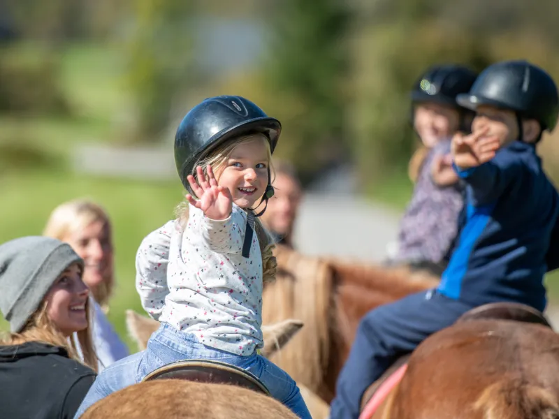 Try Horseback Riding in Cincinnati