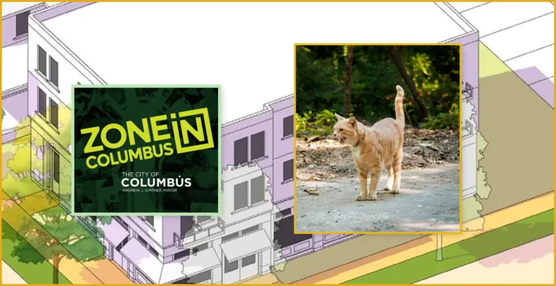 Wanderin Joe, where will you go? Beloved cat is Columbus's newest NIMBY