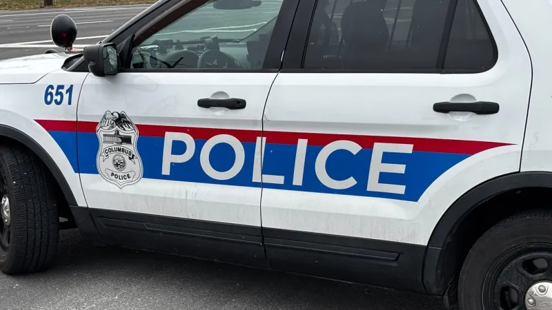 Motorcyclist dies after swerving to avoid animal, hitting utility pole