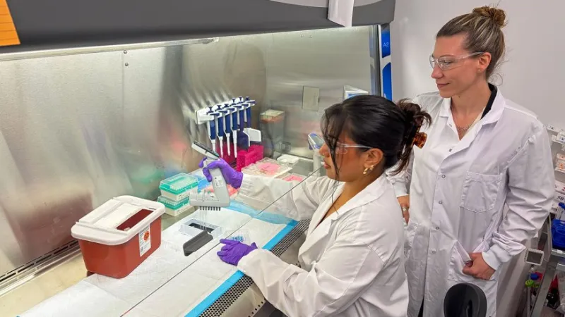 Translational Immunology
