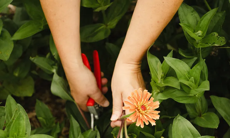 The Dignity and Humanity of [Yard] Work