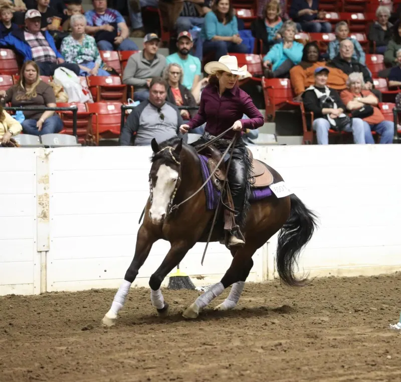 Things to do in Columbus during the All American Quarter Horse Congress