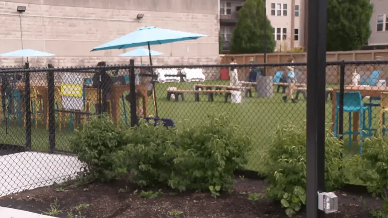 Grandview Heights is looking for its first-ever canine mayor