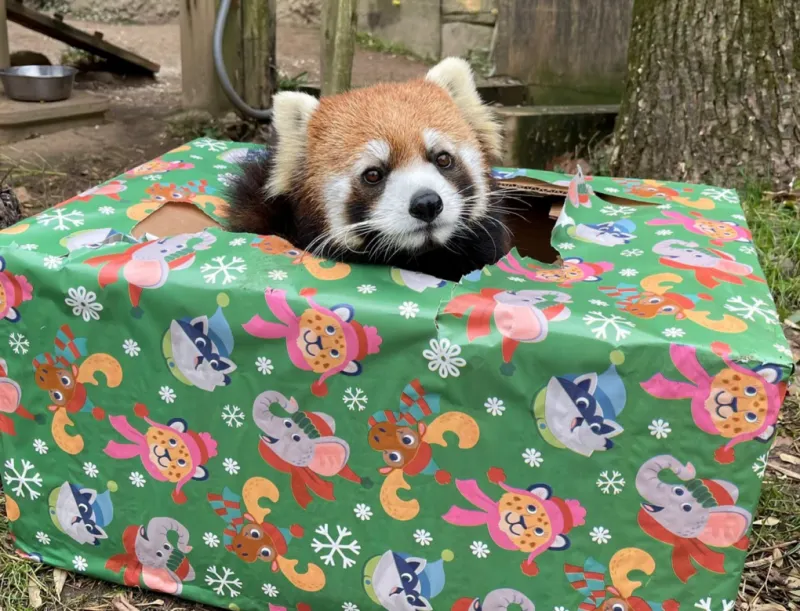 Columbus Zoo announces sudden death of endangered animal