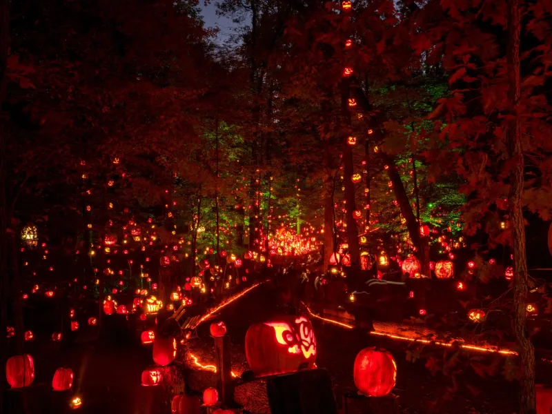 10 Favorite Fall Festivals in Cincinnati