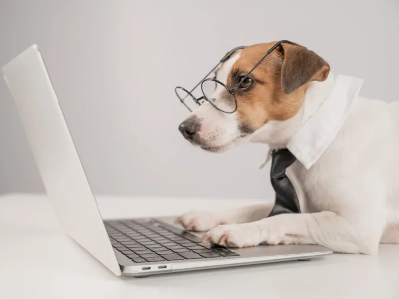 Grandview Heights to elect first ever Dog Mayor