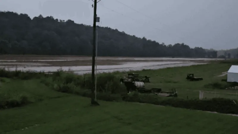 Weekend rain destroys about 95% of family farm's crop in Pike County